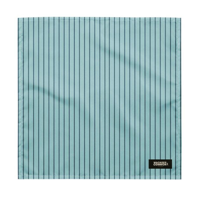 Pañuelo azul estampado rayas